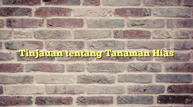 Tinjauan tentang Tanaman Hias